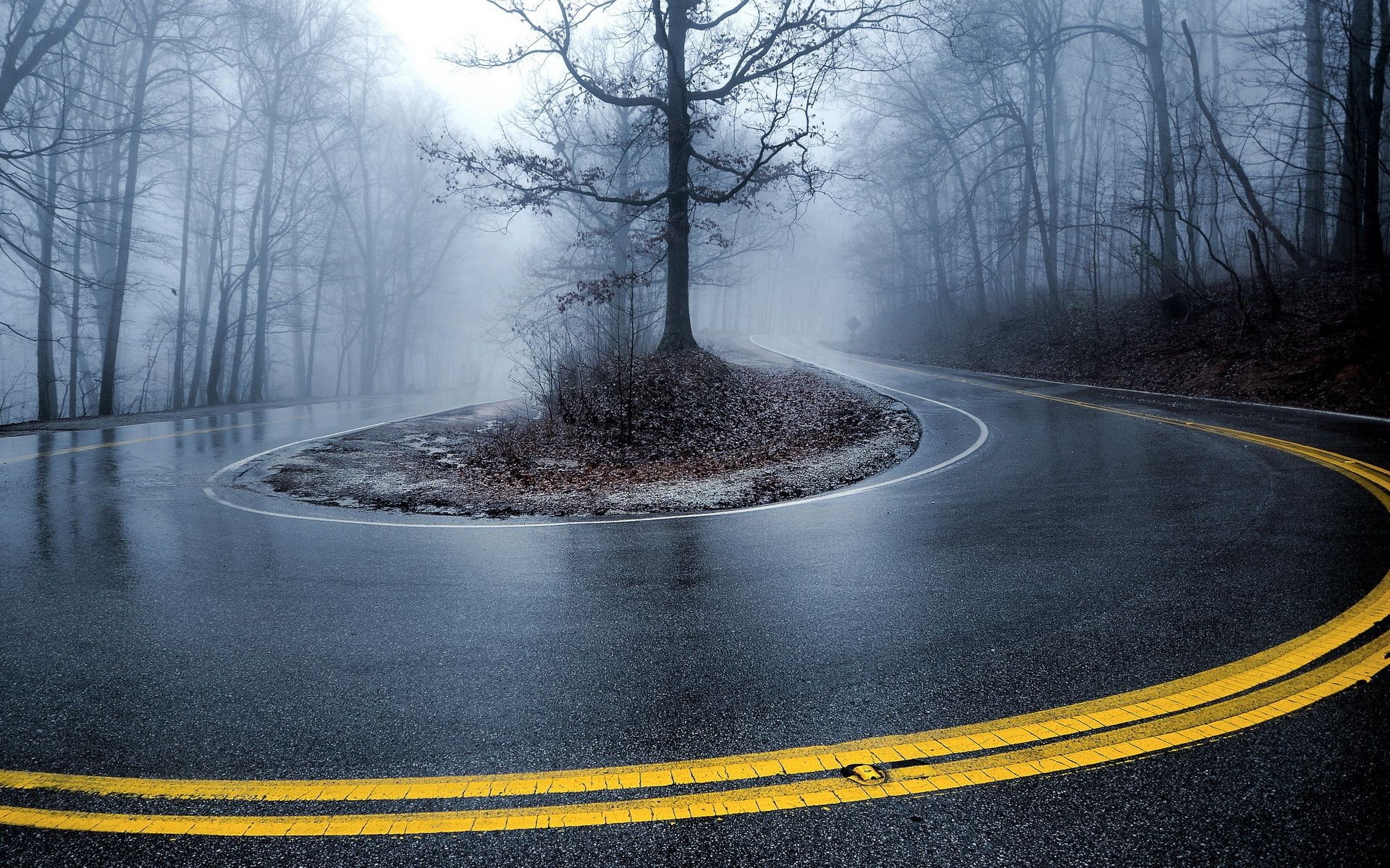 road snow winter tree fog landscape guidance asphalt travel outdoors dawn mist nature wood cold weather