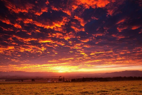 Muy hermosa puesta de sol en la llanura