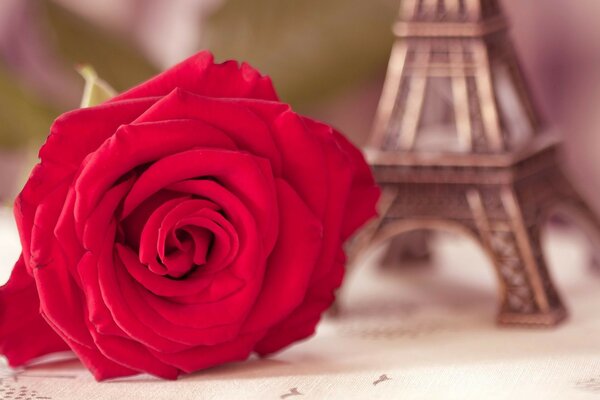 Rose de mariage et statuette de Paris