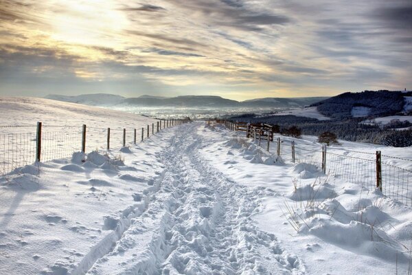 Escarcha de invierno con vistas a la montaña