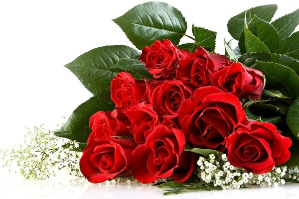 Romantic big bouquet of red roses