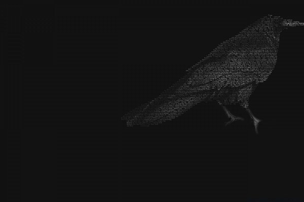 Black bird on a black background