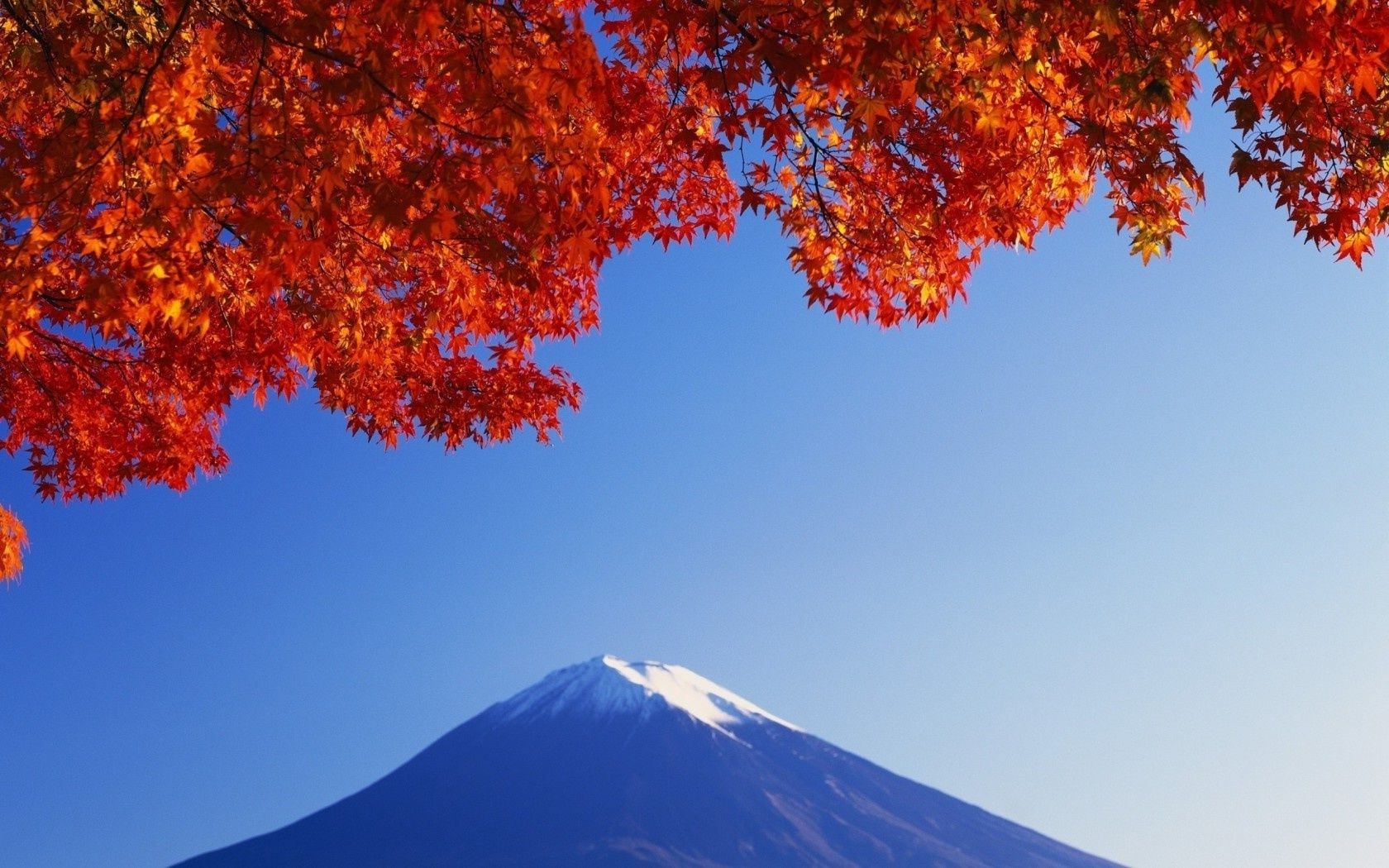 montagna autunno foglia all aperto natura neve luminoso albero inverno legno bel tempo