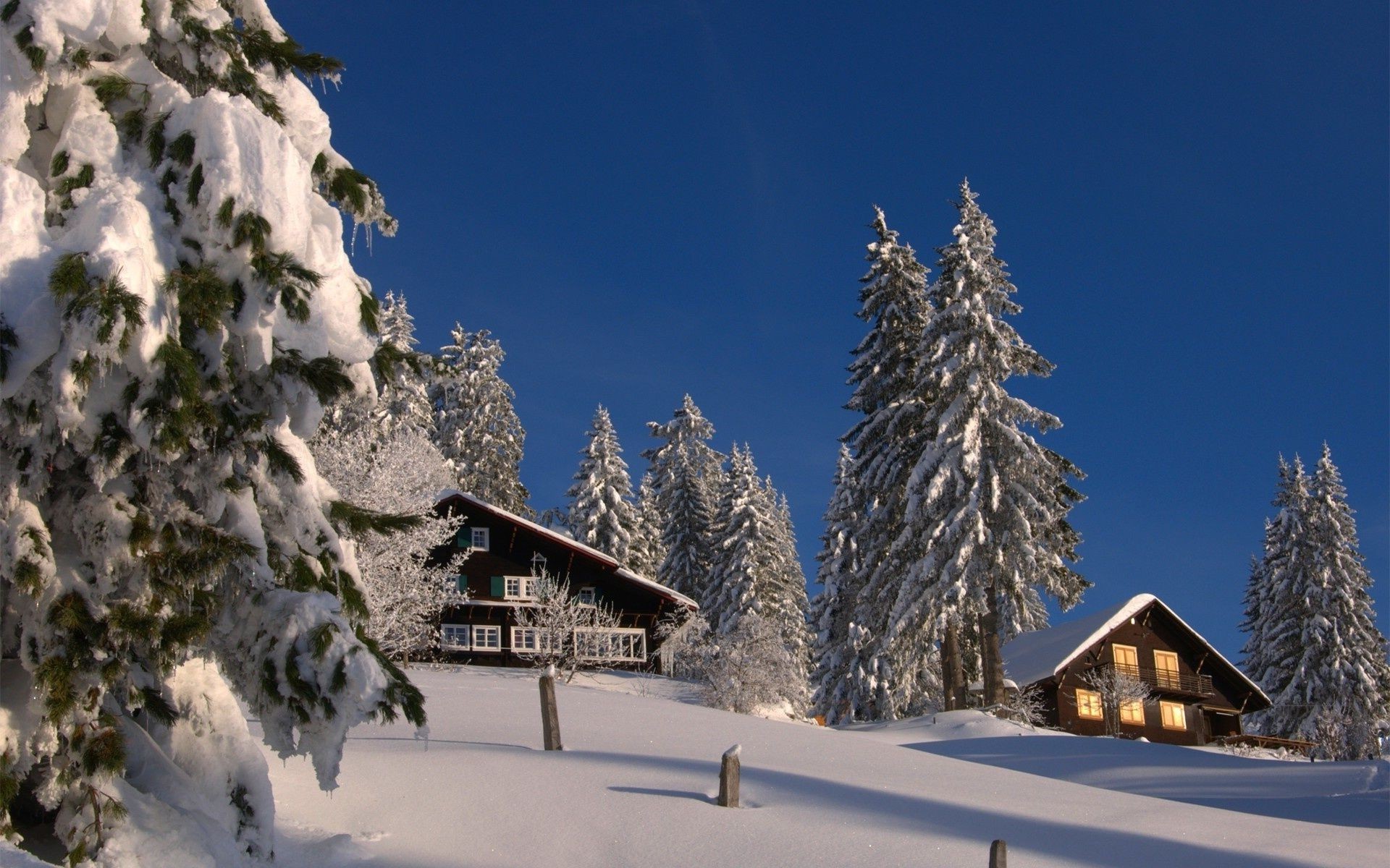 inverno neve freddo legno gelo albero ghiaccio montagna evergreen congelato all aperto resort pittoresco capanna