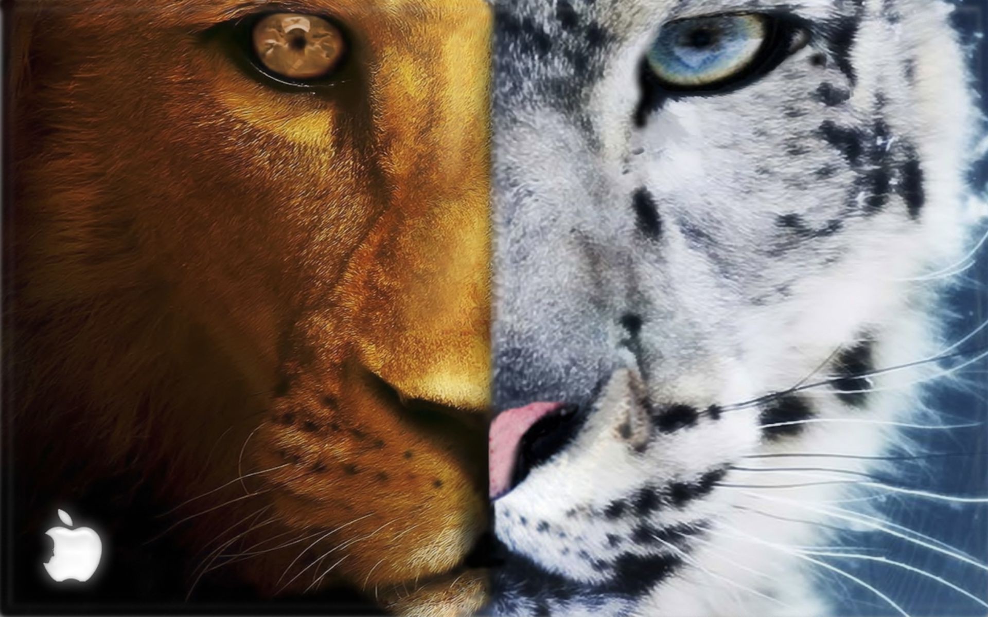 Морда Льва и тигра
