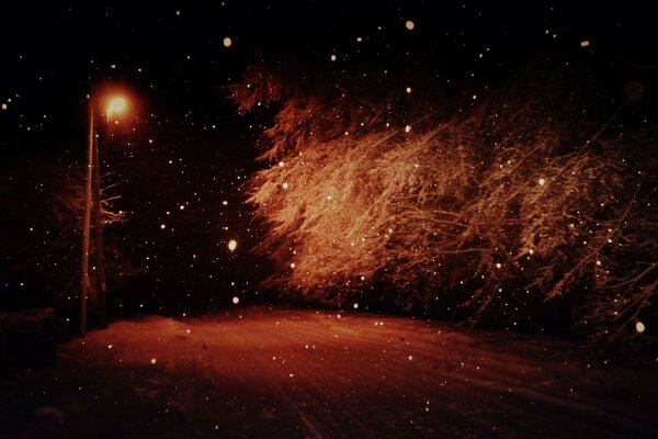 A lone lantern illuminates the winter forest