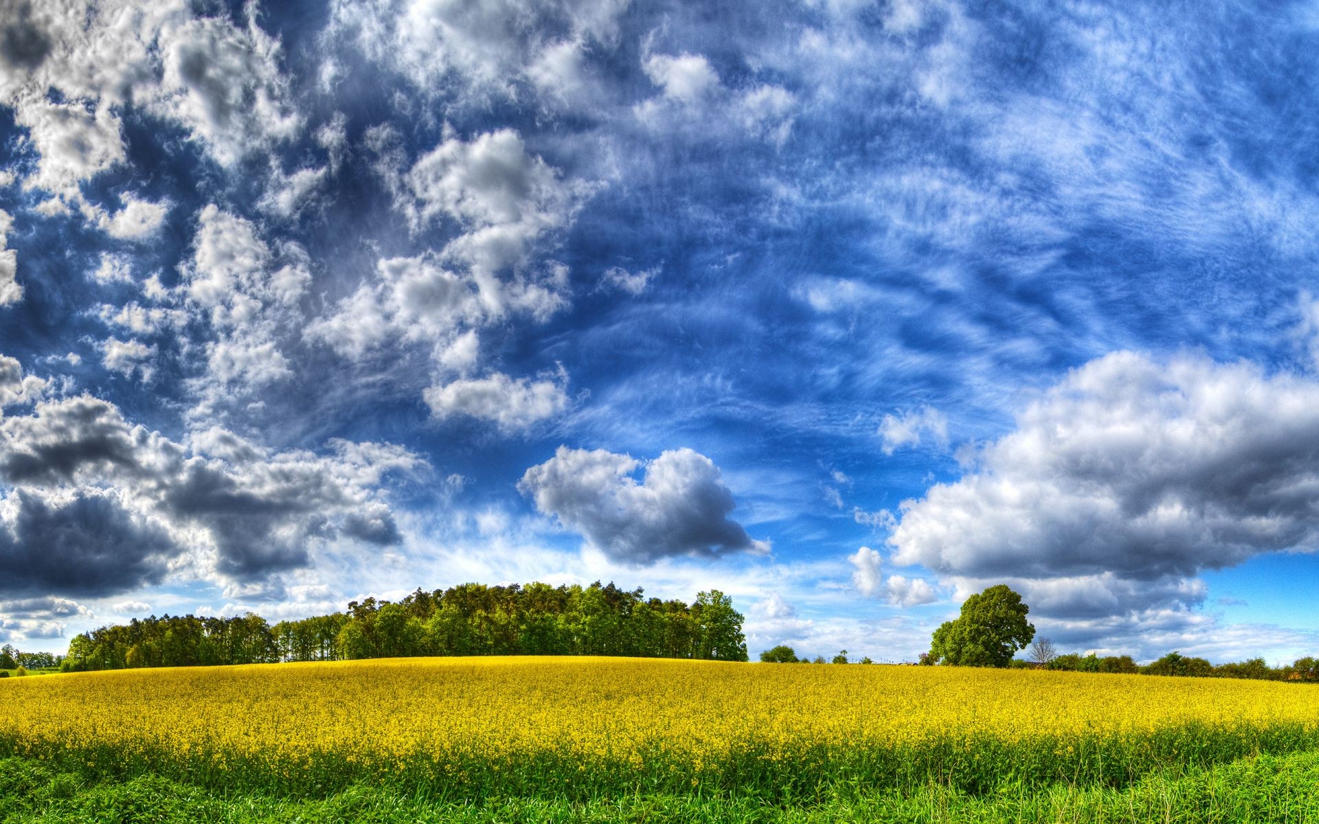 cielo rurale campo natura paesaggio cielo campagna orizzonte estate agricoltura bel tempo erba fattoria nuvola pascolo suolo panoramico fieno all aperto sole