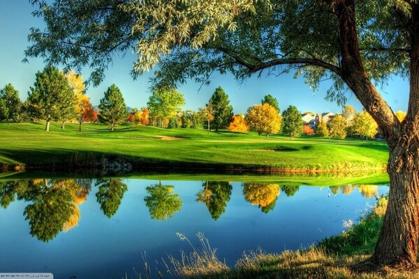 Herbstwald in Wasserreflexion