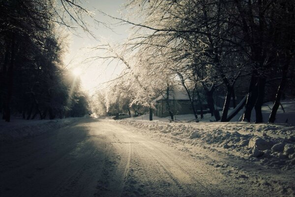 Winter road to my native village