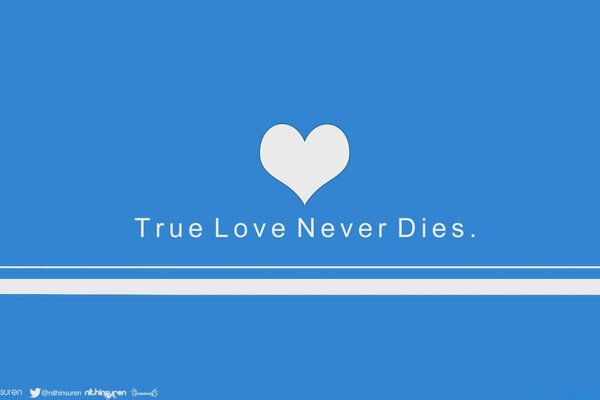 Diseño True love never dies