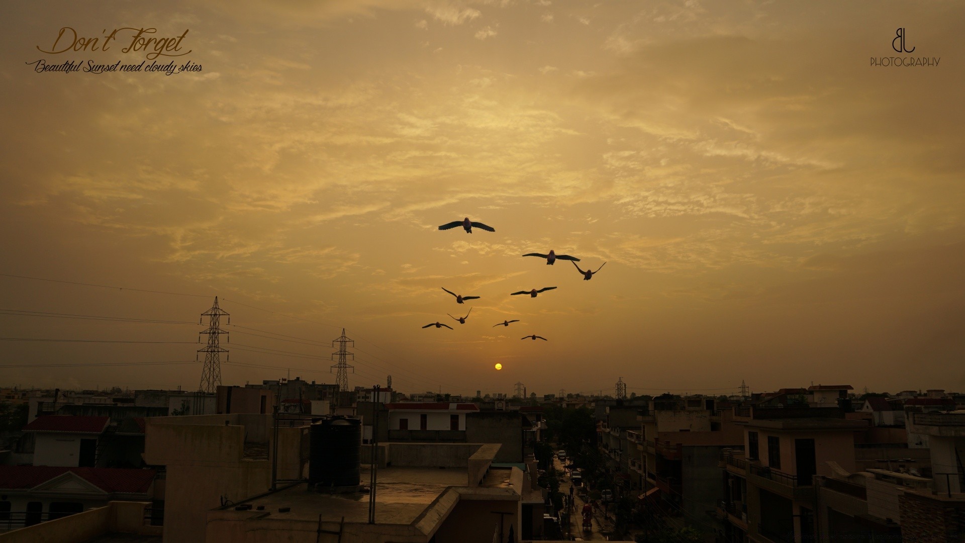 urban sunset dawn sky bird water dusk sun evening travel outdoors seagulls aircraft flight airplane