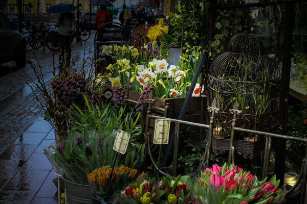 阴沉的城市里的花店