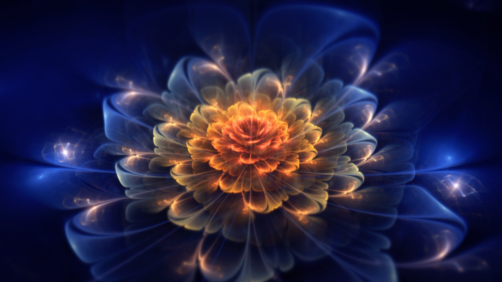 neon abstract color blur flower design pattern flame desktop light proportion texture