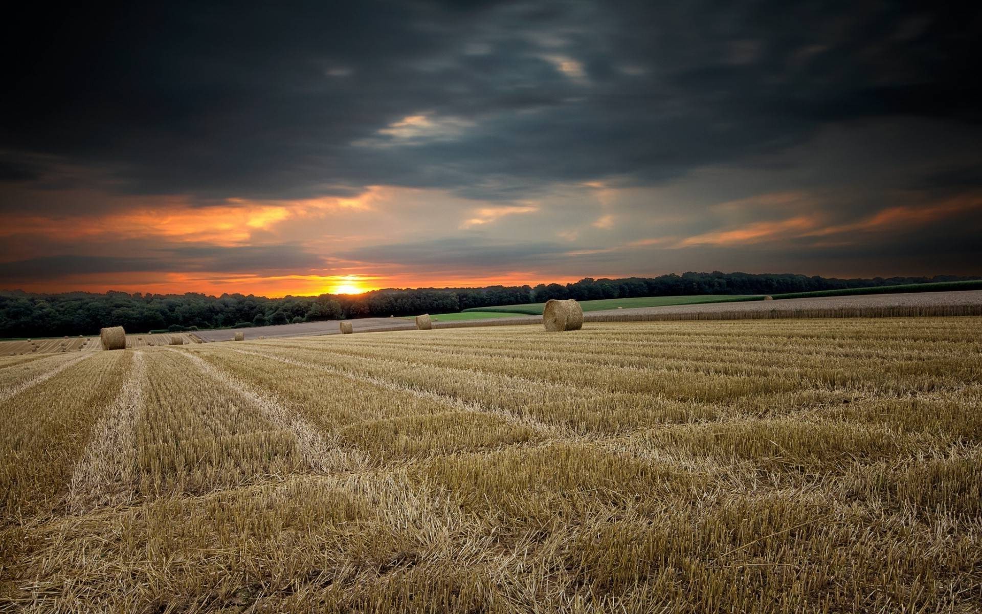 pôr do sol e amanhecer trigo cereais campo rural agricultura pasto milho fazenda paisagem colheita palha campo centeio terras agrícolas país sol ouro terra cultivada céu