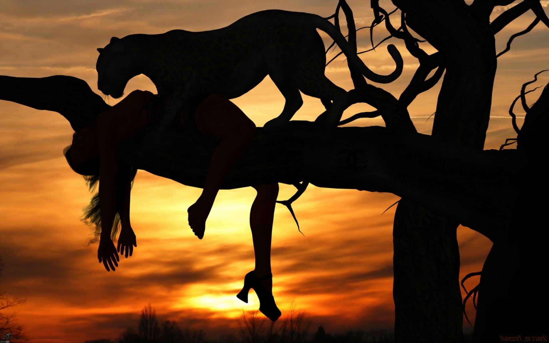 animaux silhouette coucher de soleil rétro-éclairé soir aube ombre crépuscule soleil femme nature mammifère