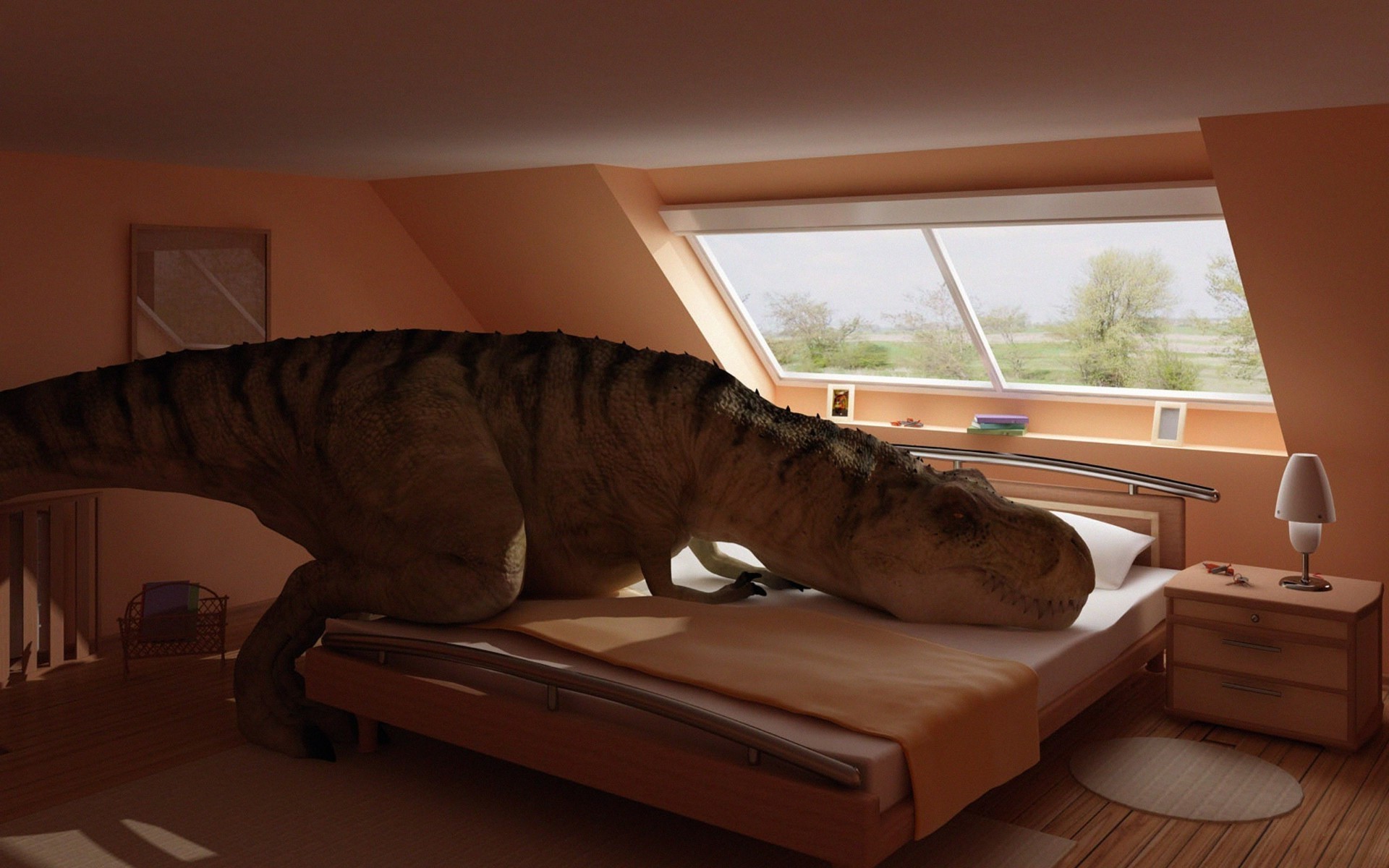 animaux intérieur chambre meubles fenêtre canapé siège lumière bois lit voyage unique étage famille chambre maison sommeil