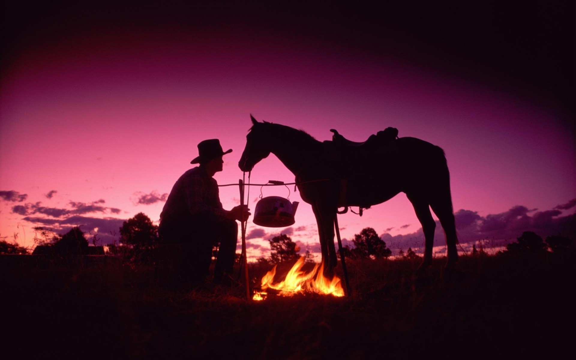 cavallo illuminato tramonto silhouette sera mammifero alba seduta adulto da solo paesaggio uomo crepuscolo sole cielo deserto cavalleria