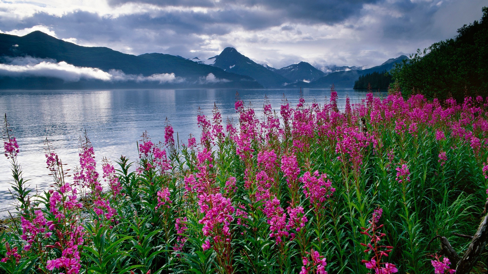 felder wiesen und täler natur landschaft sommer wasser dämmerung im freien himmel see landschaftlich berge landschaft sonne gutes wetter jahreszeit blume hell farbe wild schauspiel