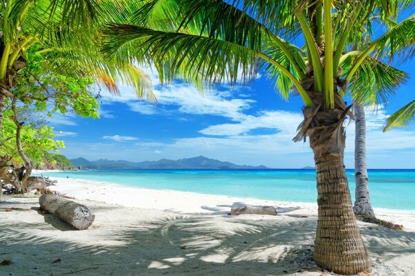 Spiaggia tropicale sulla spiaggia bianca sabbiosa sullo sfondo del mare e delle montagne