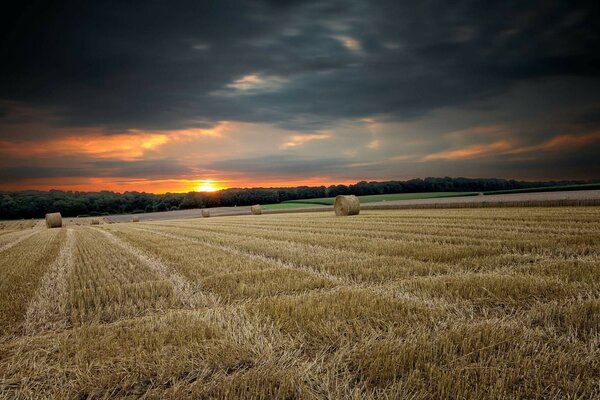 Ein Feld mit gemähtem Gras, das bei Sonnenuntergang in Ballen gesammelt wurde