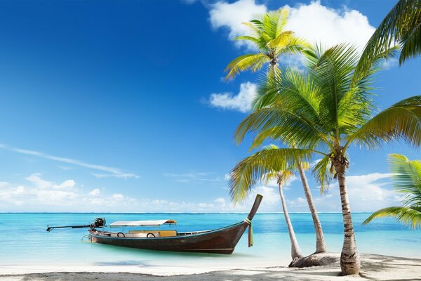 The boat docked near palm trees on a tropical island