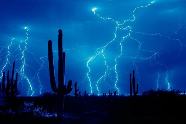 Relámpago en la noche. Lluvia y tormenta