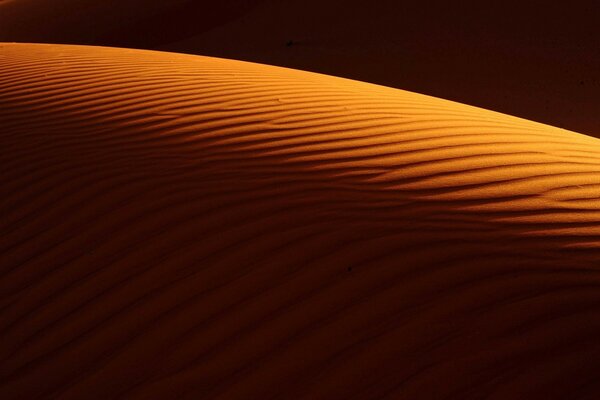 Textura do deserto à sombra do pôr do sol