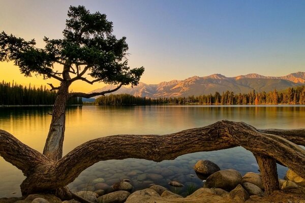 Reflection of the sunset on the surface of the water