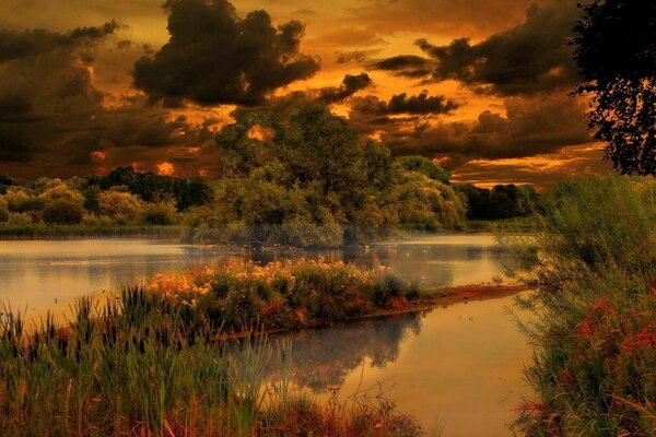 Foggy morning over the river in the reeds