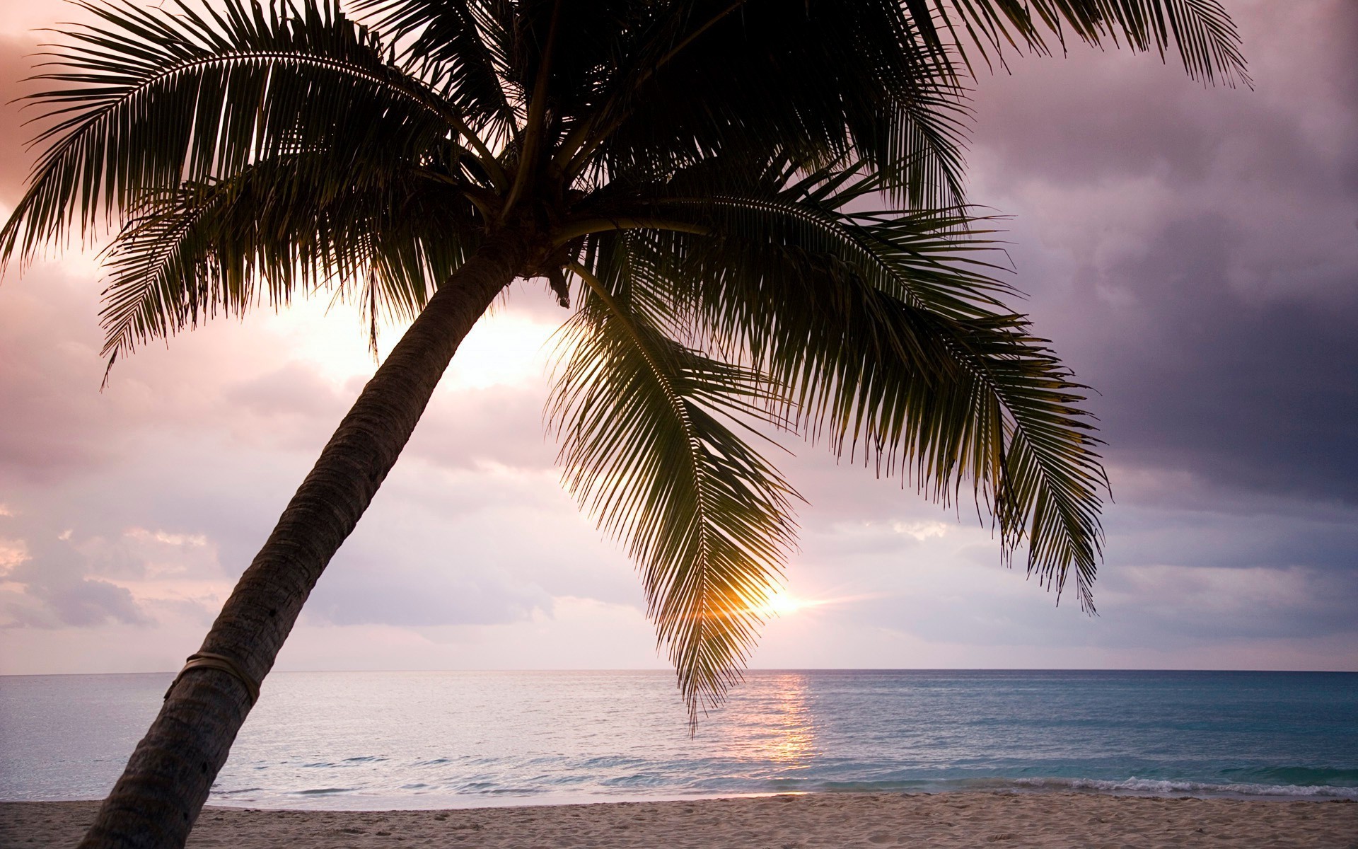 mer et océan plage tropical sable palm océan mer exotique île soleil voyage vacances été eau station balnéaire paradis noix de coco paysage détente mer