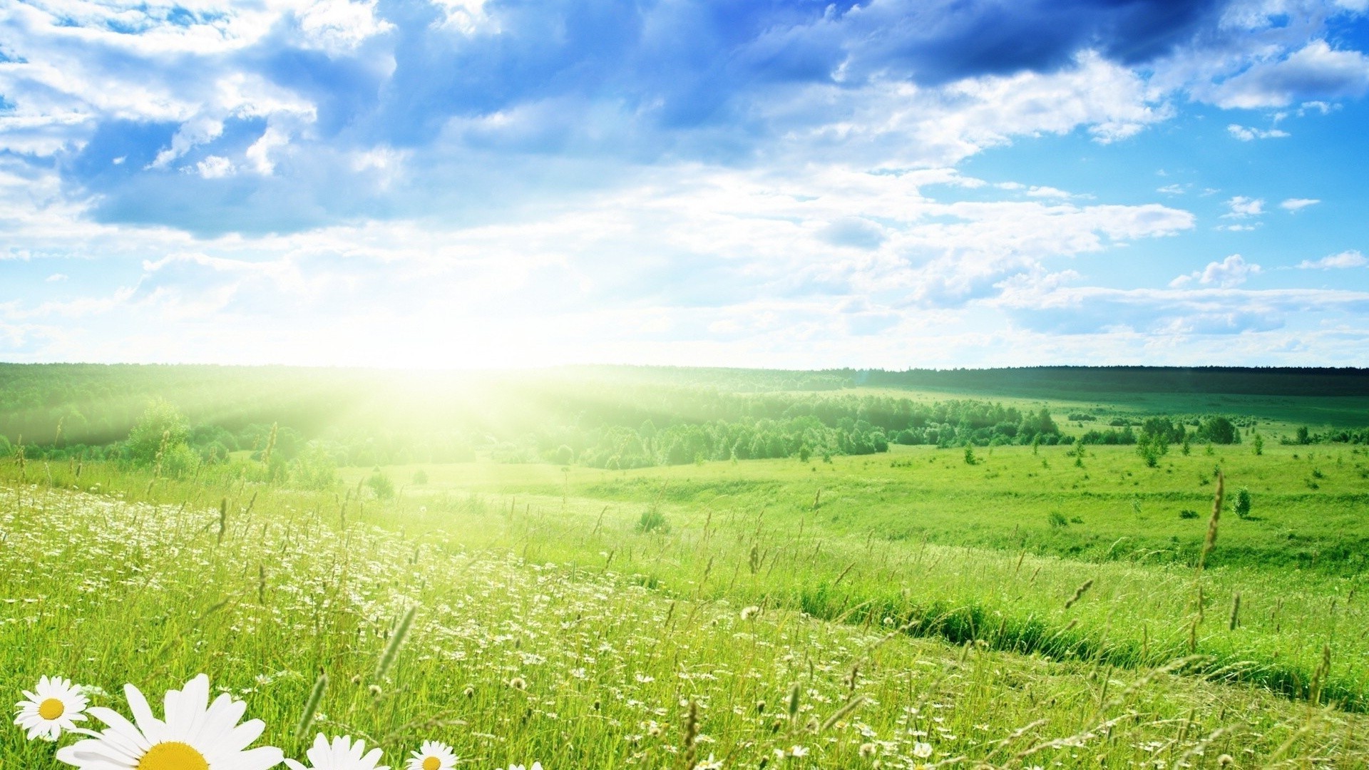 sommer natur landschaft feld des ländlichen gras heuhaufen himmel weide landschaft im freien landwirtschaft gutes wetter wachstum idylle sonne flora hell land