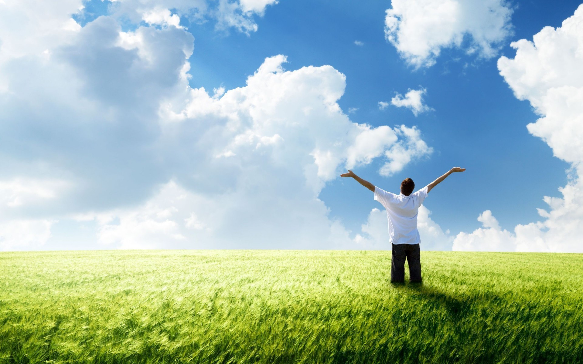 männer feld gras heuhaufen himmel sonne natur landschaft sommer freiheit weide wolke gutes wetter ländliche