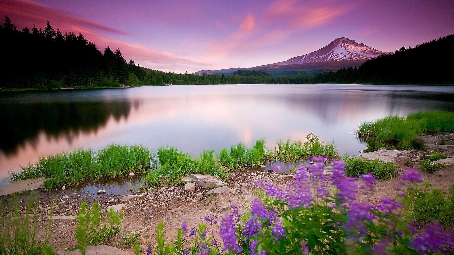 the sunset and sunrise lake water nature landscape outdoors dawn sky sunset reflection travel river summer scenic evening dusk