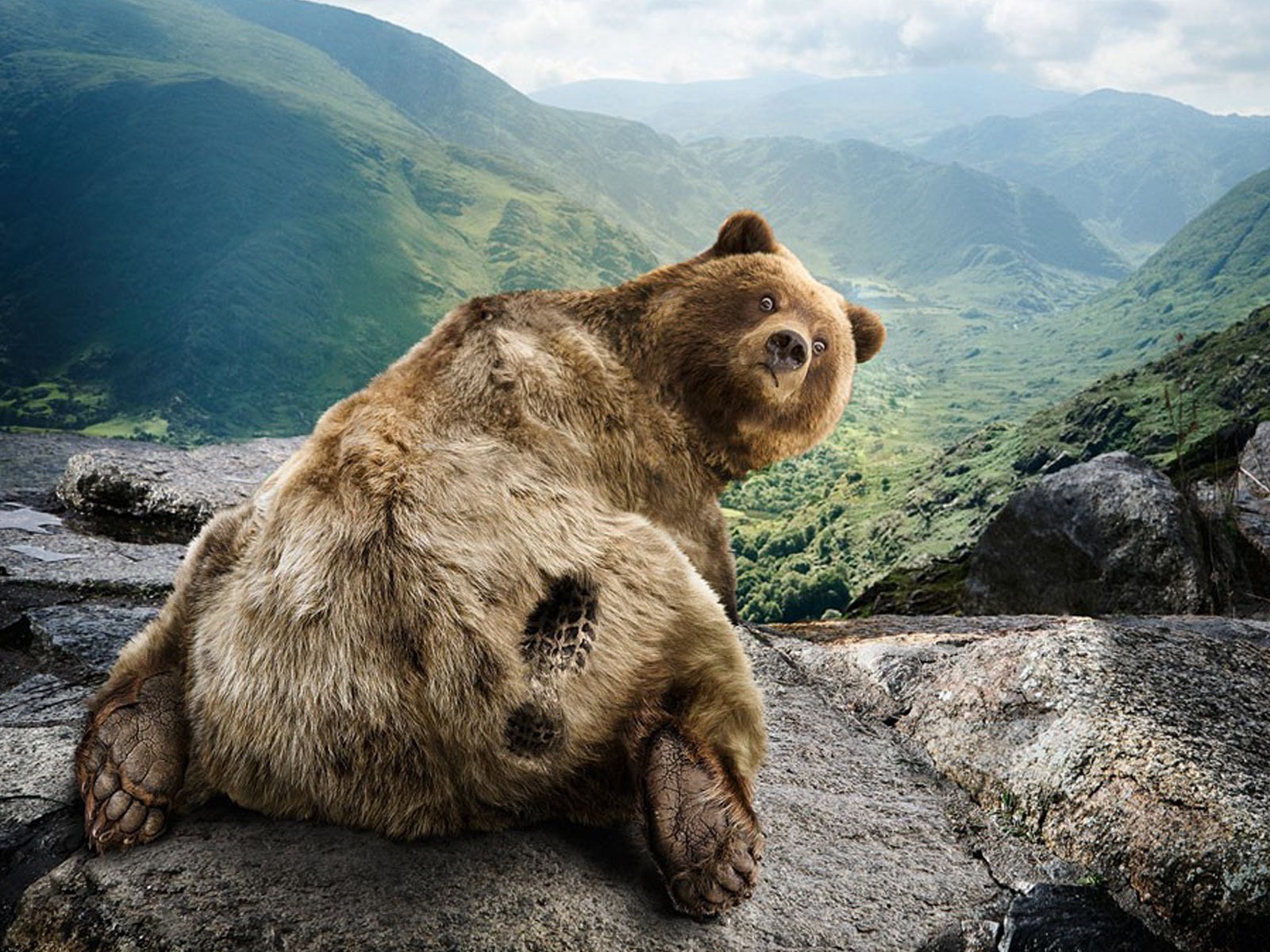 tiere natur berge im freien wasser reisen rock landschaft