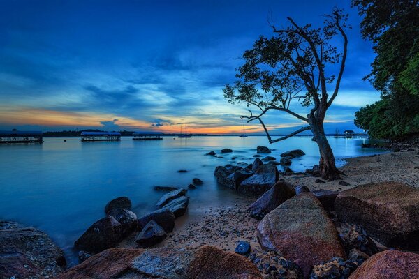 Landscape on the shore of a picturesque lake