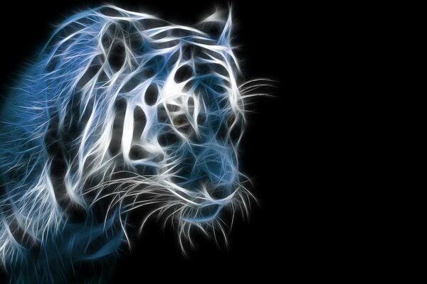 Illustrazione di una tigre su sfondo nero