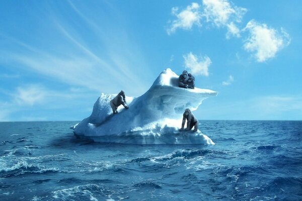 Viaje de tres amigos a través del océano en un témpano de hielo