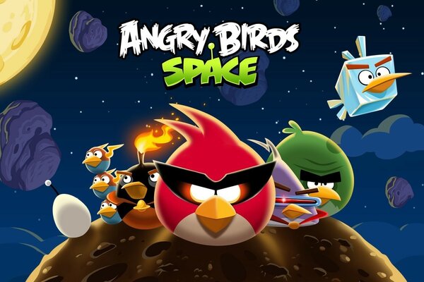 Angry birds on the background of space