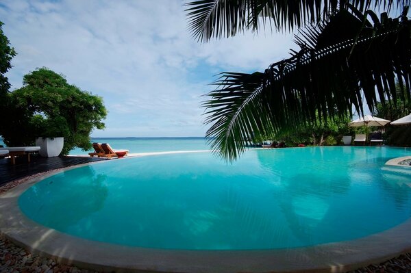 Beautiful swimming pool in a tropical area