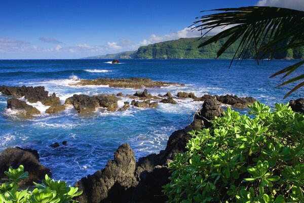 Des blocs de pierre bloquent l entrée de la baie d une île tropicale