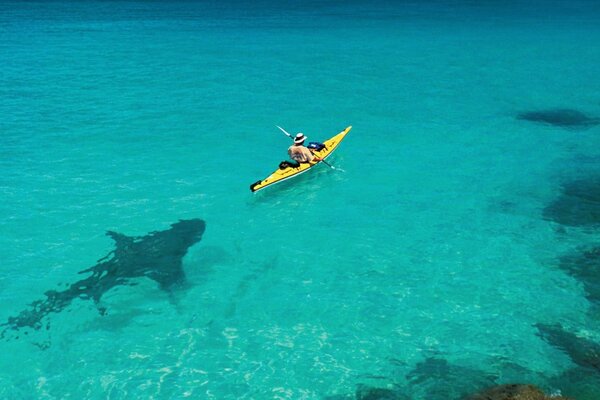 Un tiburón se acerca sigilosamente a un hombre en una Canoa