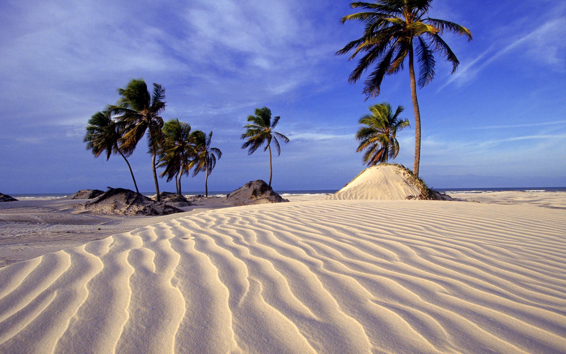 árvores areia praia mar oceano ilha recurso viagens férias sol quente tropical paisagem verão calor bom tempo idílio palma relaxamento