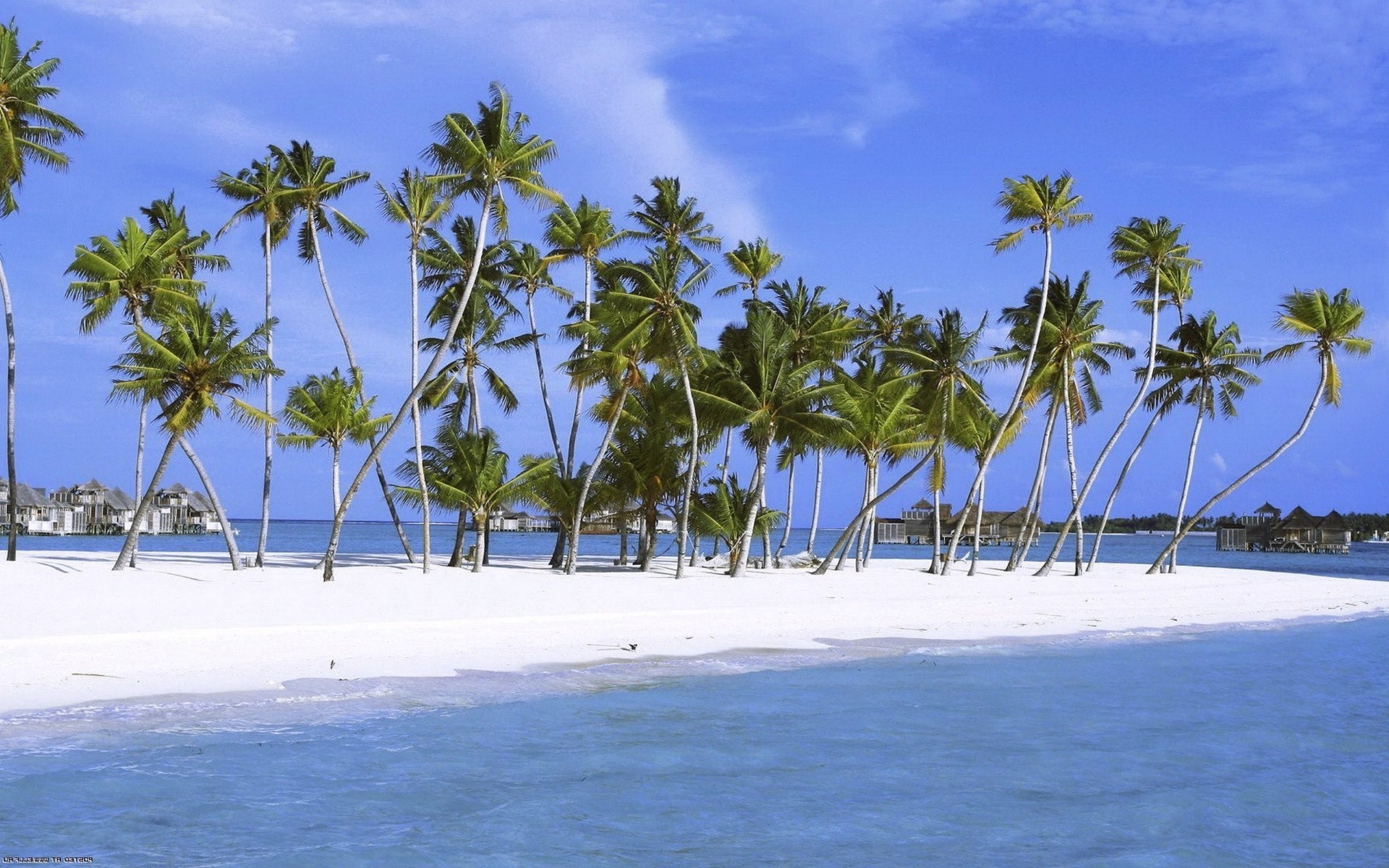 mare e oceano spiaggia tropicale resort mare sabbia oceano isola palme vacanza cocco paradiso idillio paesaggio esotico albero viaggi relax acqua sole