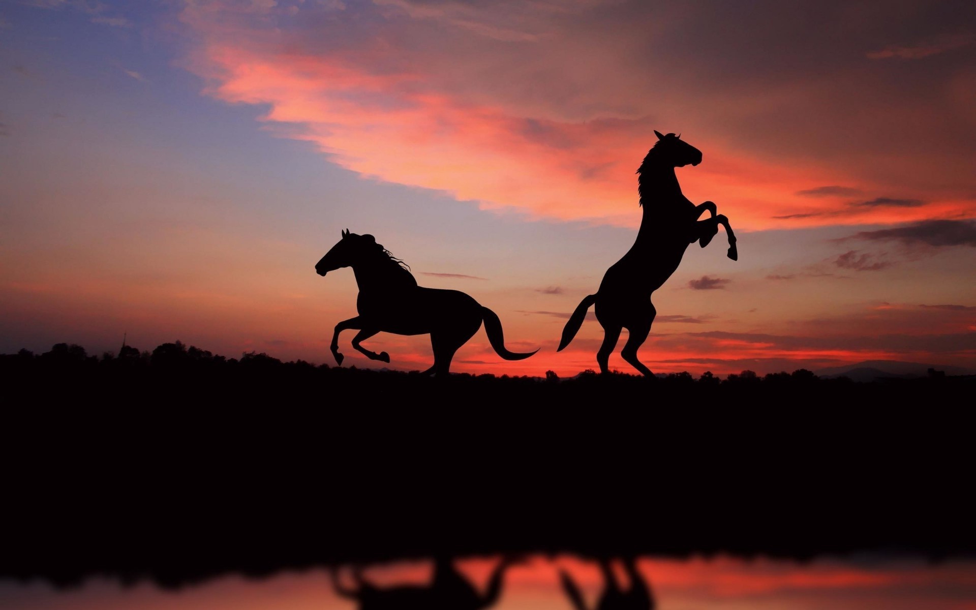 horses sunset silhouette backlit evening sky dawn mammal sun dusk landscape cavalry race one