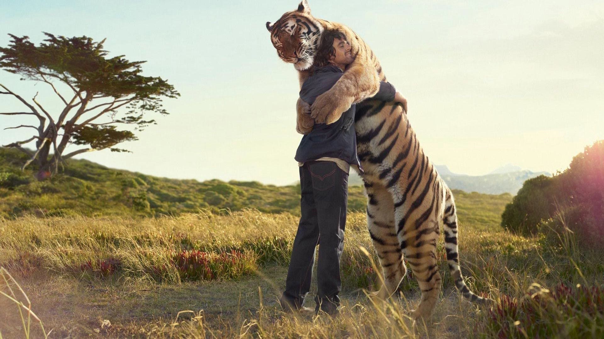 animales mamífero naturaleza al aire libre hierba vida silvestre safari uno dos