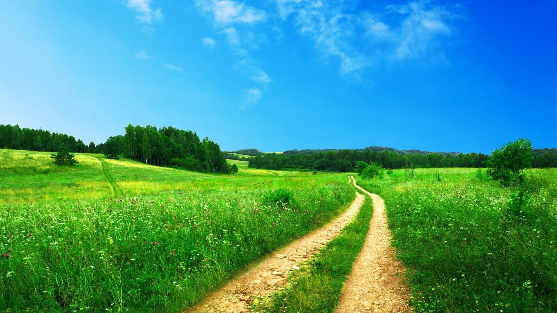 summer rural landscape grass field countryside agriculture nature hayfield sky country outdoors soil pasture farm horizon growth tree fair weather