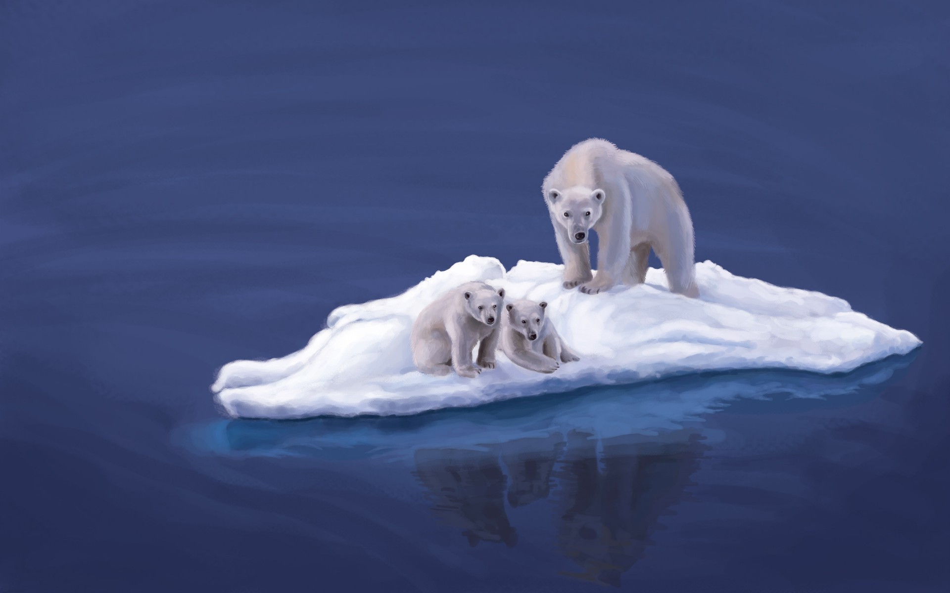 bears water swimming sea ocean ice outdoors cold snow frosty