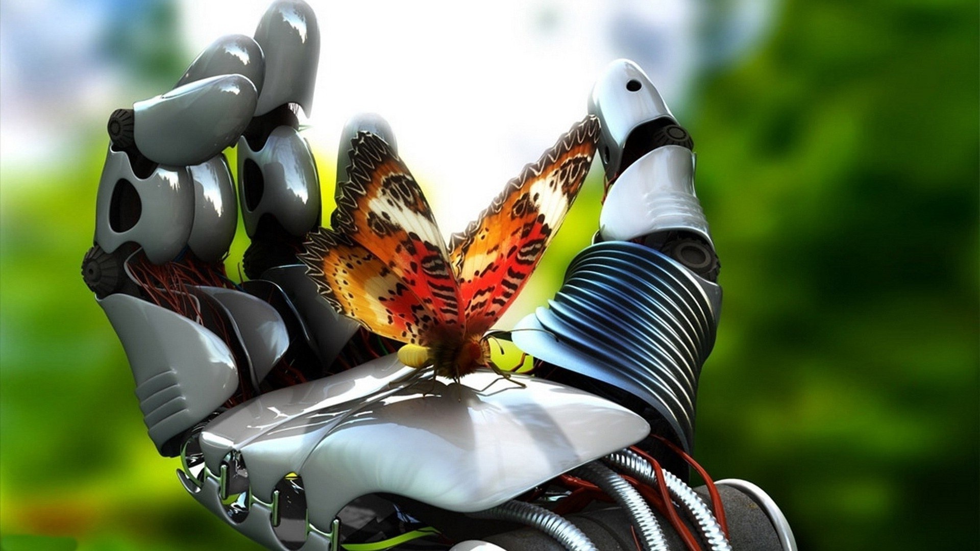 robots naturaleza al aire libre competencia