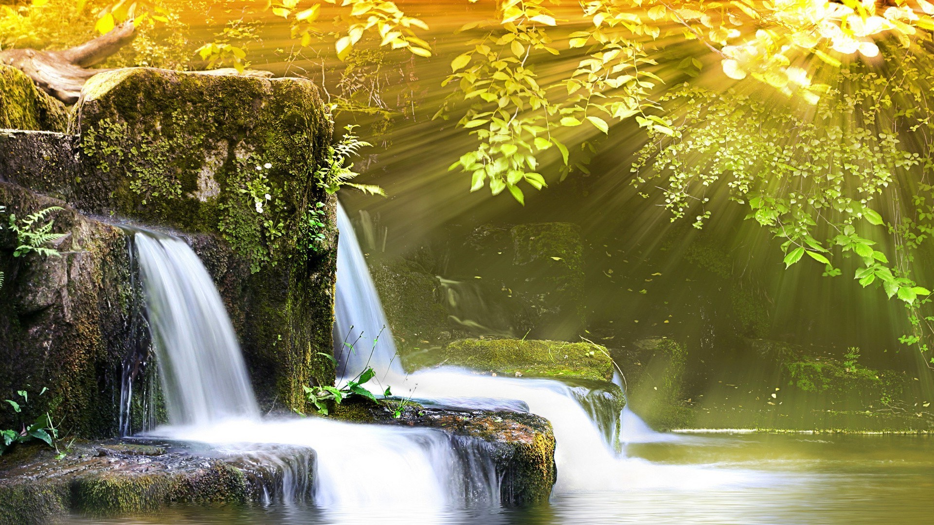 waterfalls waterfall water fall leaf nature river stream cascade outdoors blur flow summer wet travel motion splash wood park creek