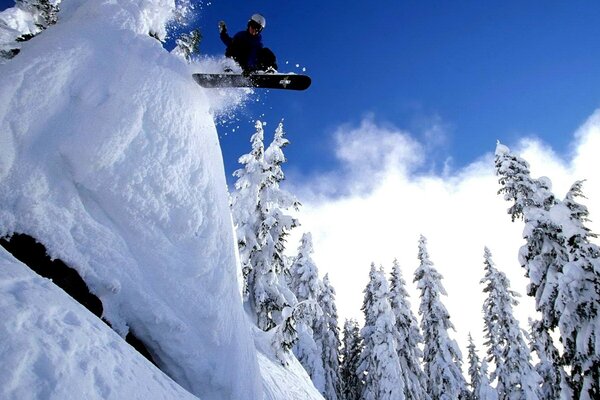 The snowboarder makes a flight through the spruce from the mountain